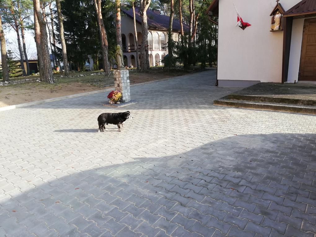 010.jpg